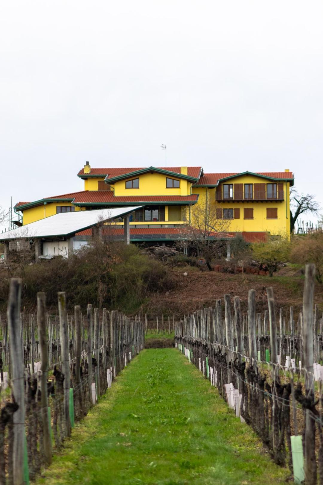 Agriturismo Nema Mossa 외부 사진